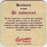 Budweiser Budvar CZ 519